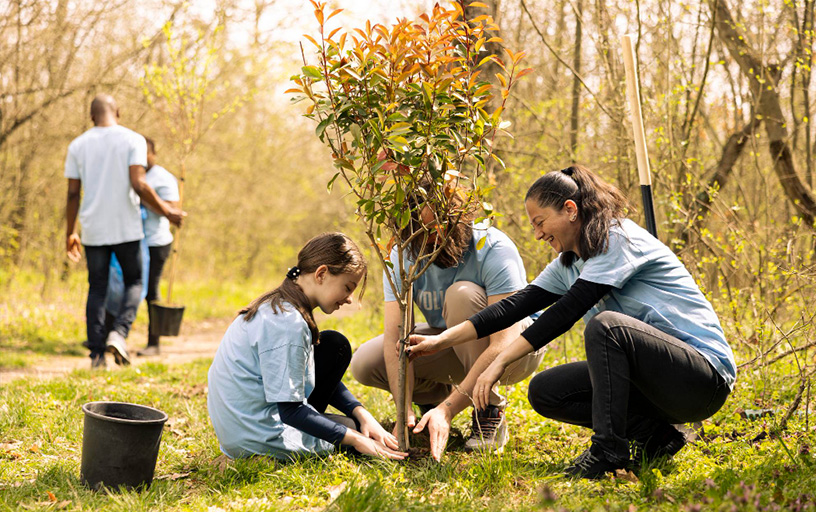 हमारी दृष्टि
