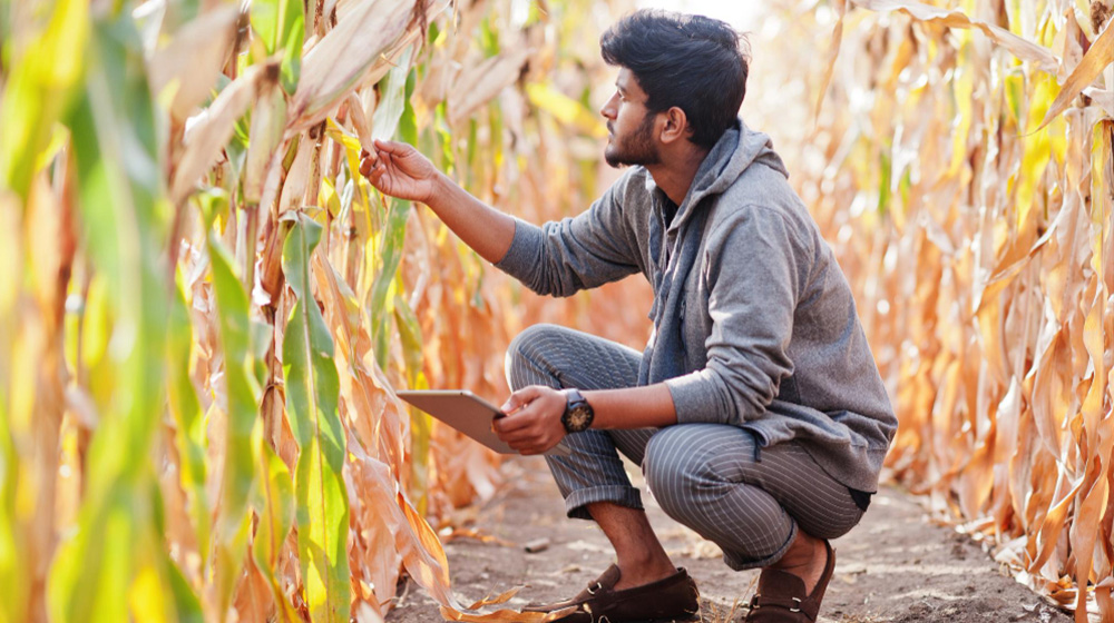 किसान प्रशिक्षण कार्यशाला